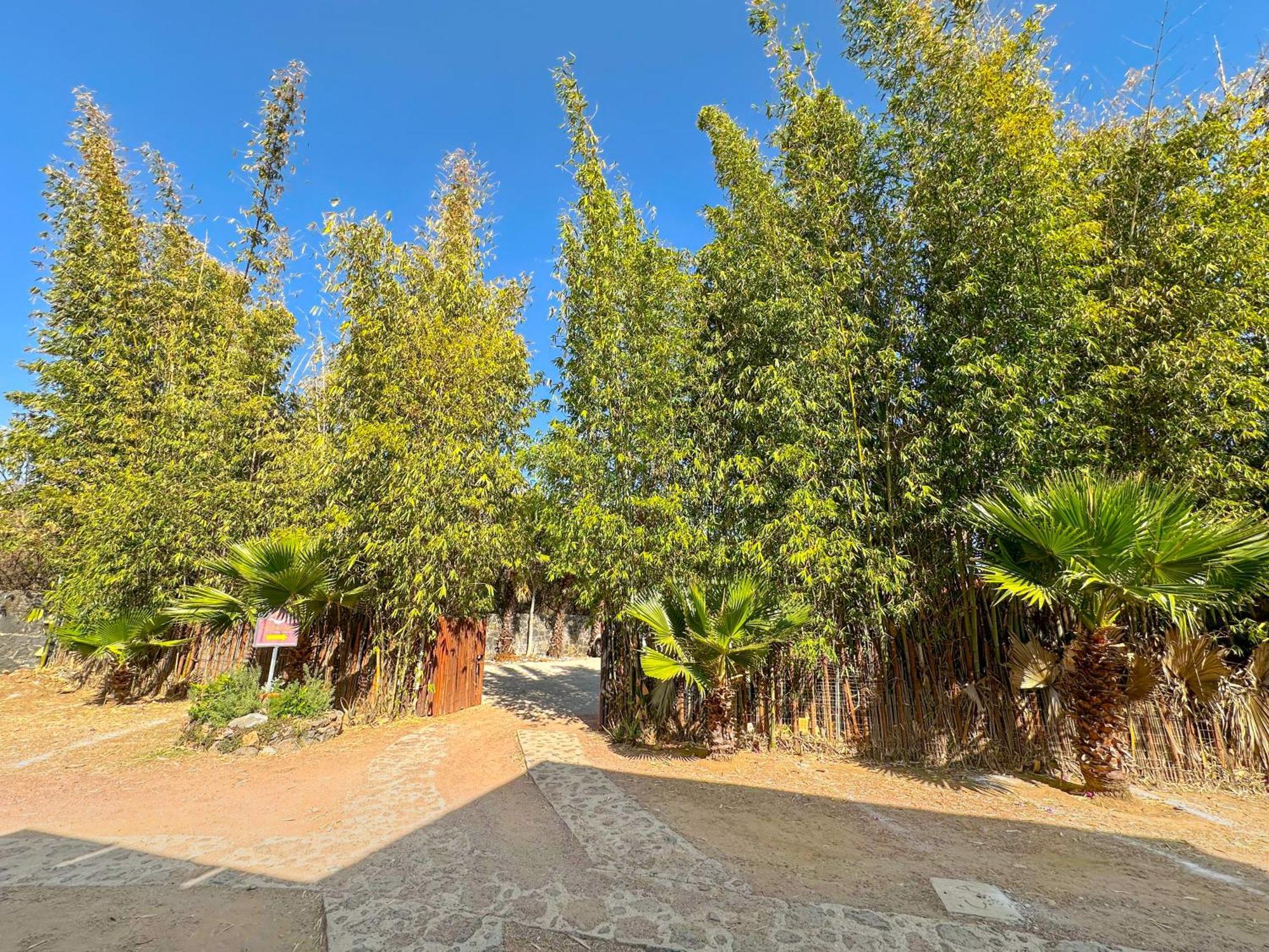 Hotel Boutique Bacaanda Tepoztlán Kültér fotó