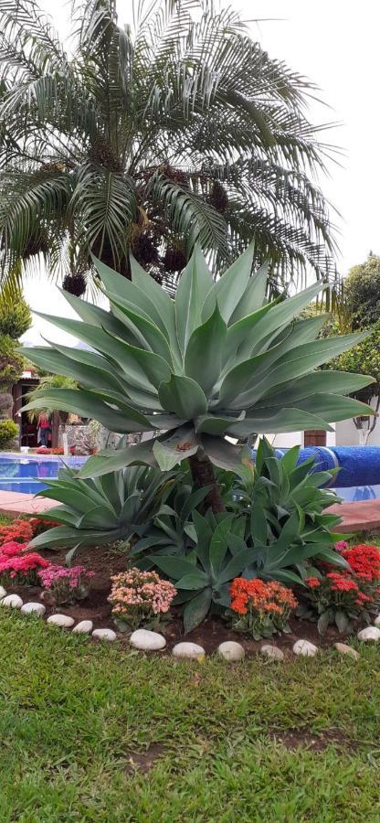 Hotel Boutique Bacaanda Tepoztlán Kültér fotó